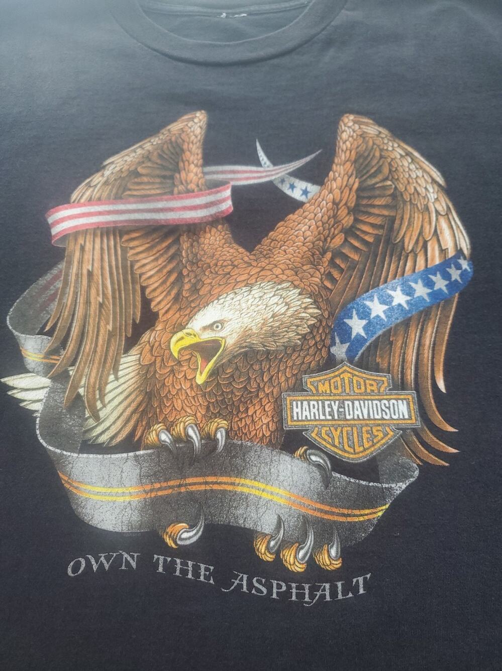 2003 Harley Davidson Eagle TShirt Own The Asphalt Mountain Creek Dalton Georgia